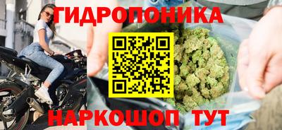 apvp Берёзовский
