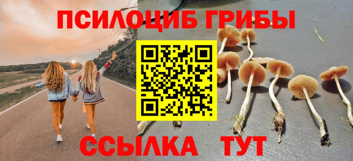 Псилоцибиновые грибы Magic Shrooms  Вход с VPN  Грязи 